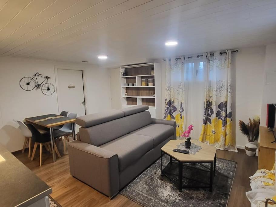 Appartement 2 Pieces Pres Du Lac De Bouzey Sanchey المظهر الخارجي الصورة