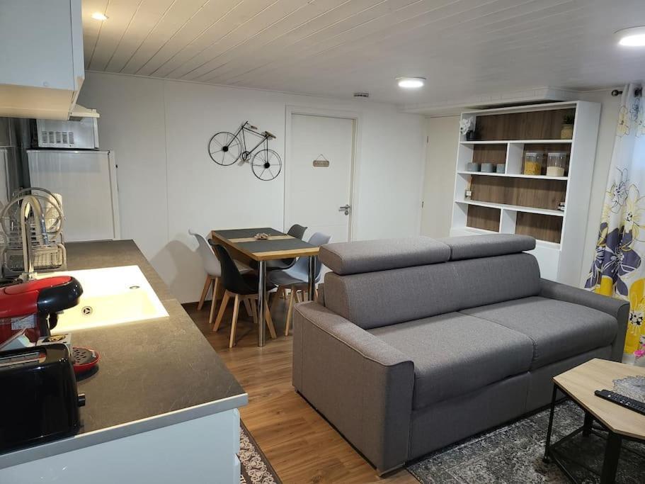 Appartement 2 Pieces Pres Du Lac De Bouzey Sanchey المظهر الخارجي الصورة